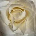 @user987.654.32100