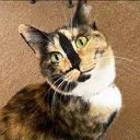 @snickersthesmilingcat