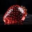 @vibesynth1