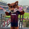 boston_sports886