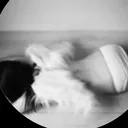 @confettipawzzz1