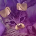 @mochi.strawbz03