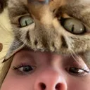 @laurennotliverpants