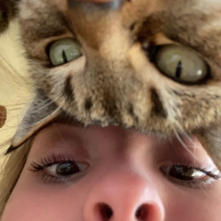 laurennotliverpants