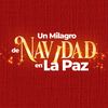 unmilagrodenavidad