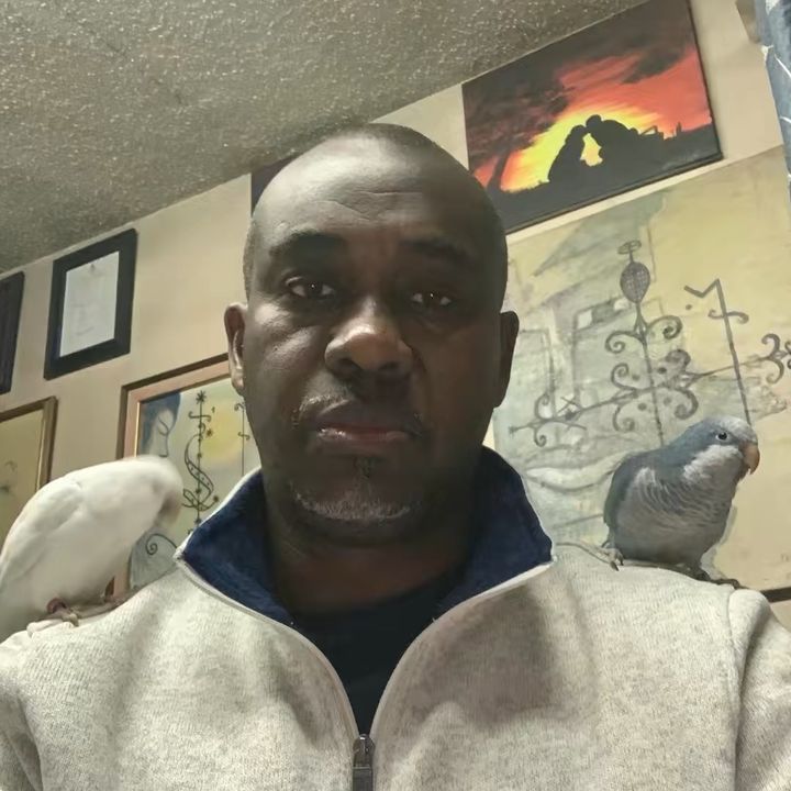 Neite@Decimus.Papillonvert - original sound