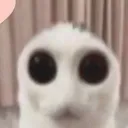 @ranchdoritous
