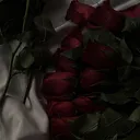 @jdjdjmdjdjdk