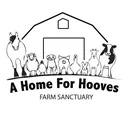 @homeforhooves