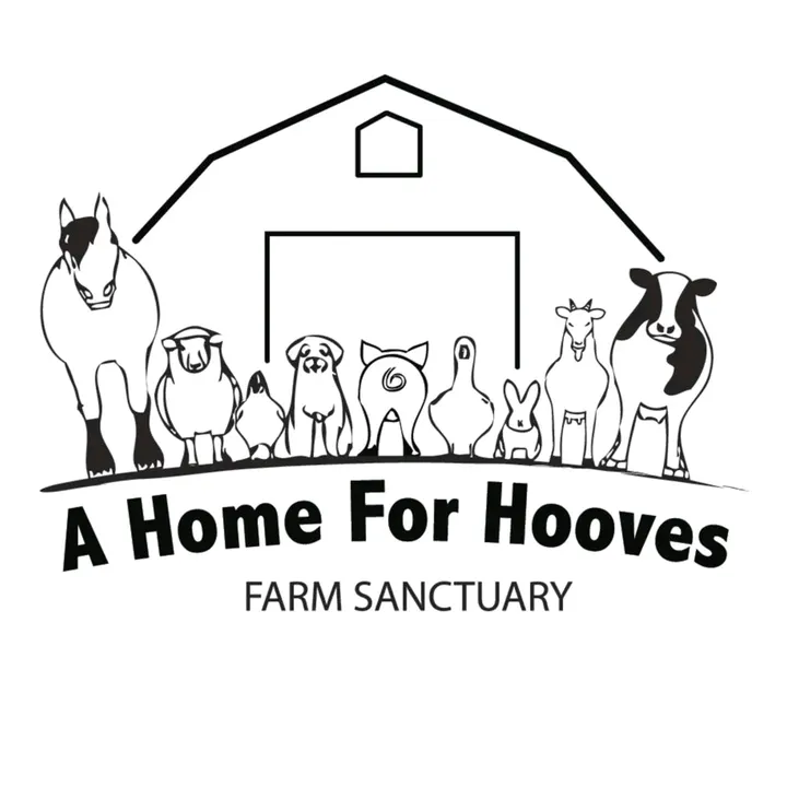 homeforhooves