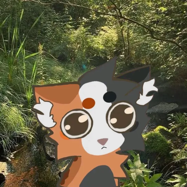 fixieyourcat