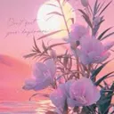 @lotus_clwal