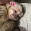 sarah.annali