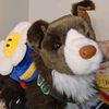 forestspiritcollects