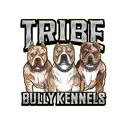 @tribebullykennels_anniem