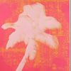 palmtreeluvr999