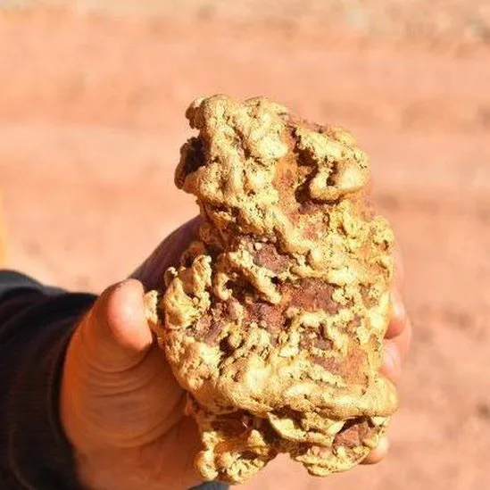 goldprospecting1994