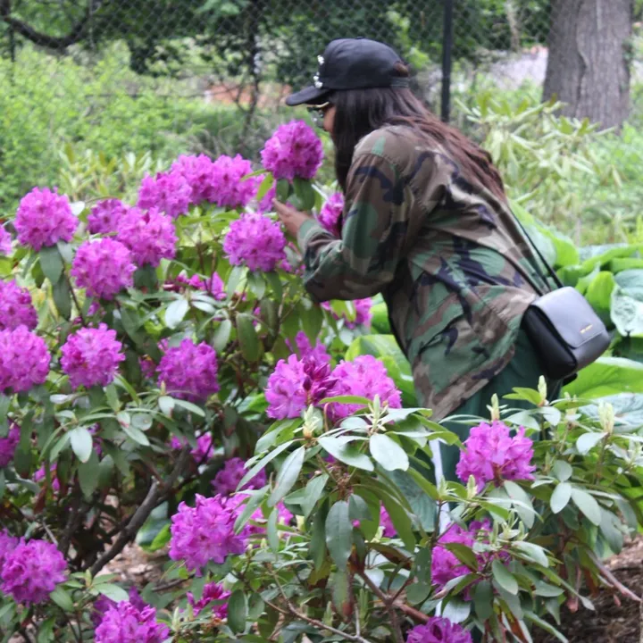 @yculler718
