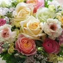 @agradebnath