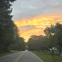 @lanie_398