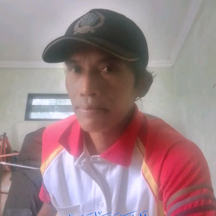 fanslagubollymania