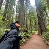 stephennhu