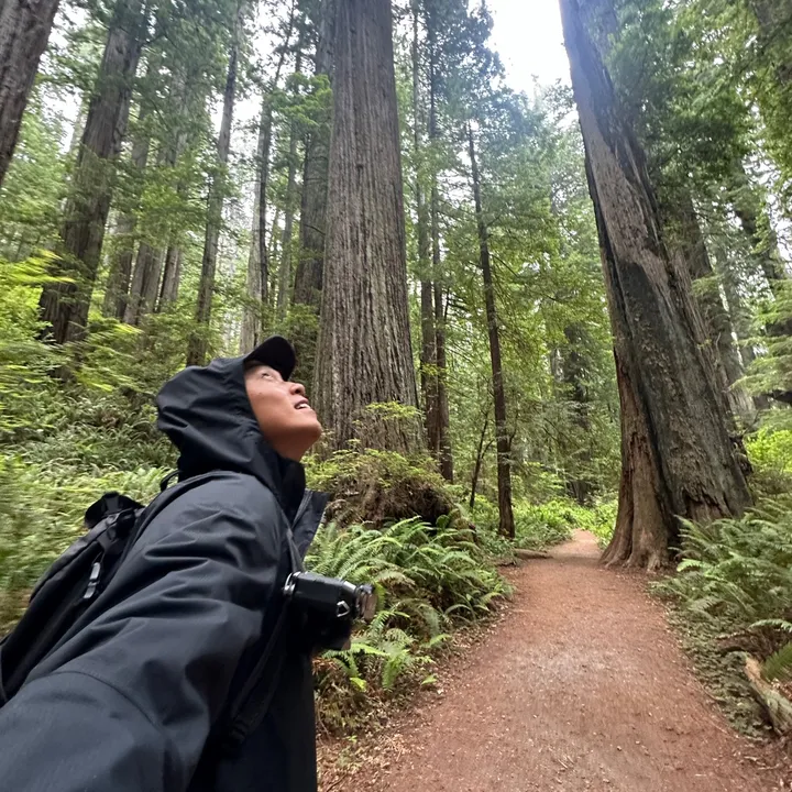 stephennhu