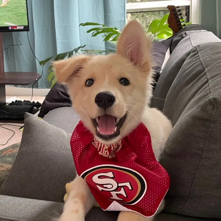 @nagathedogga