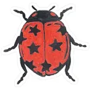 @ladybugsays