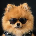 @gangsterspitz