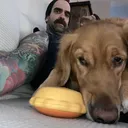 @bearrito1639