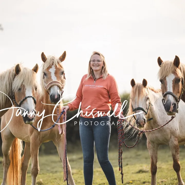 @team.orange.ponies