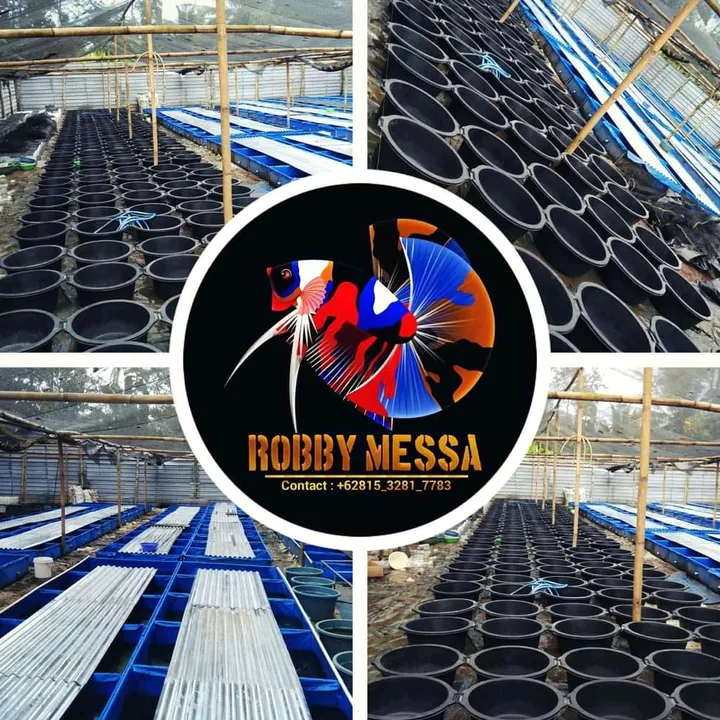 @robby_messa