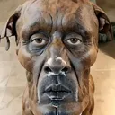 @aidsinspray1