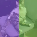 @jovan_663