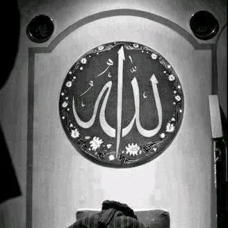@ammara.haider0