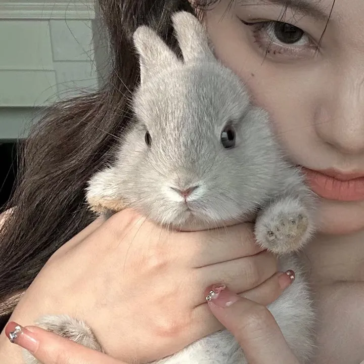 vmuaek