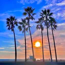 @venice_beach_boardwalk
