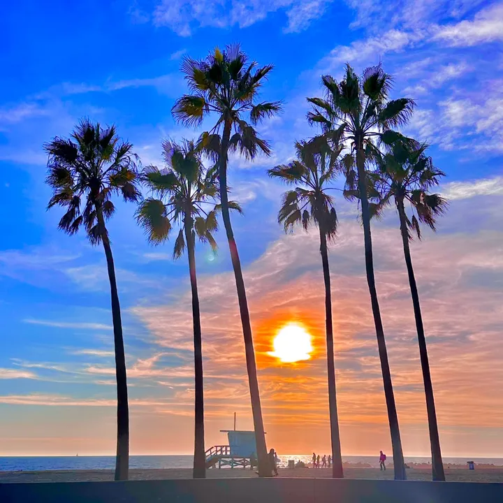 venice_beach_boardwalk