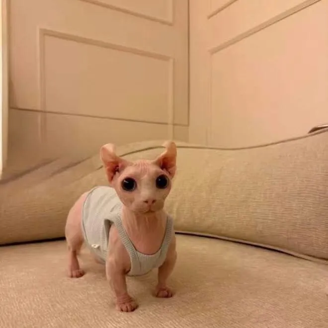 amangeldyevaaa_09