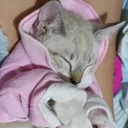 @mariajulia94805