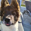 @leo.vom.bergkristall