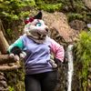nova_fur