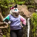 @nova_fur
