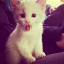 @mmtkkws