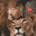@lyrics_x007