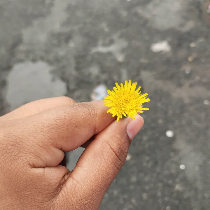 rossyramirez48