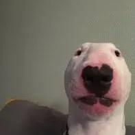 @doctor_m_and_w