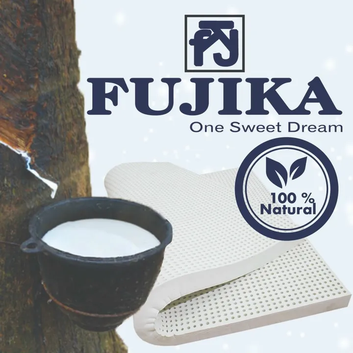 @nemfujika
