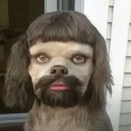 dontragedev